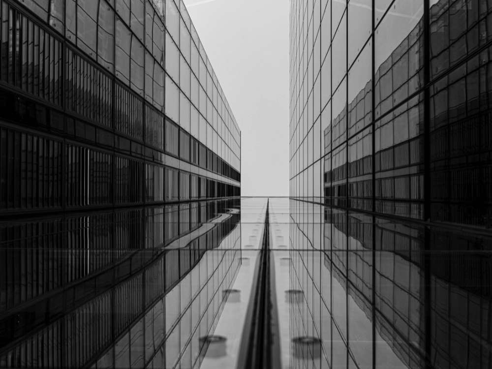 gallery grid image